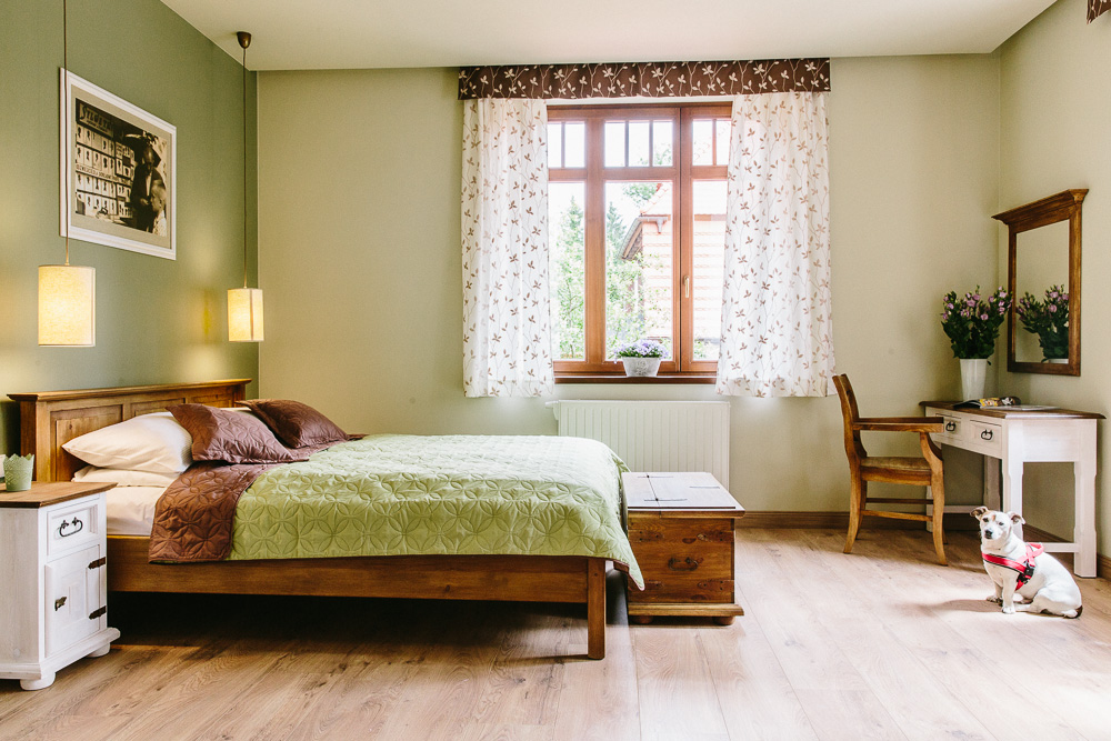 Pies w apartamencie Villa Filmowiec w Polanicy-Zdroju